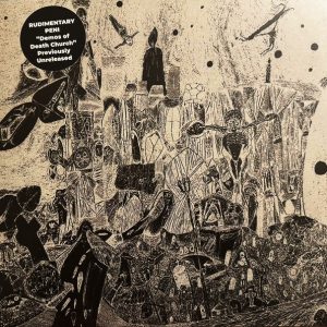 RUDIMENTARY PENI - Demos Of Death Church LP