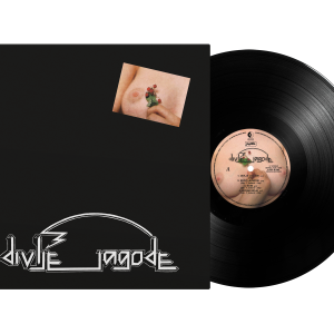 DIVLJE JAGODE - Divlje Jagode LP