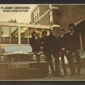 FLAMIN' GROOVIES - Shake Some Action CD