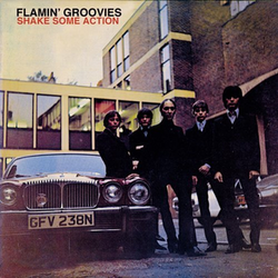FLAMIN' GROOVIES - Shake Some Action LP