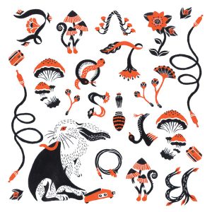 BORIS - Love & Evol LP
