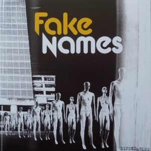 FAKE NAMES - Expendables (color) LP