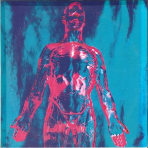 NIRVANA - Silver/Dive 7"