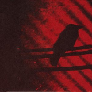 THEE SILVER MT. ZION - Born Into... CD