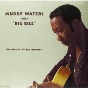WATERS, MUDDY - Muddy Waters LP