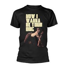 IGGY AND THE STOOGES - Niwbyd T- SHIRT